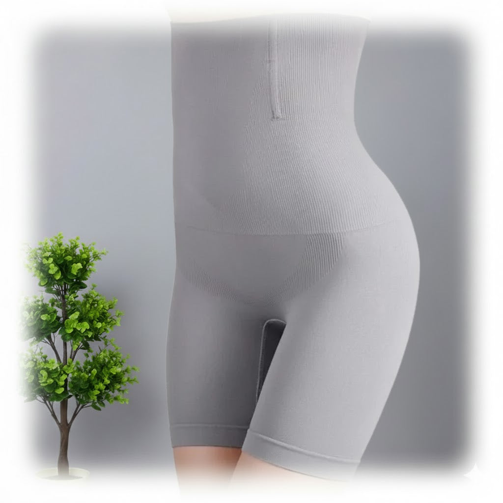 Seamless High-Waist Slimming Shapewear Panty